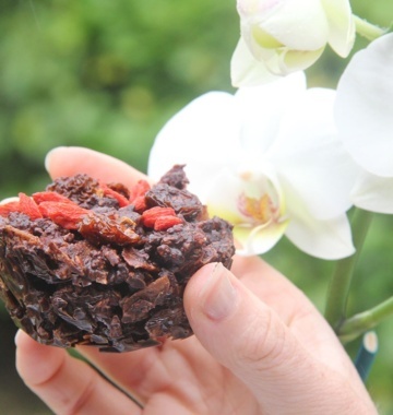 Berry Chocolate Crackle recipe by Buffy Ellen of Be Good Organics - vegan and gluten free!