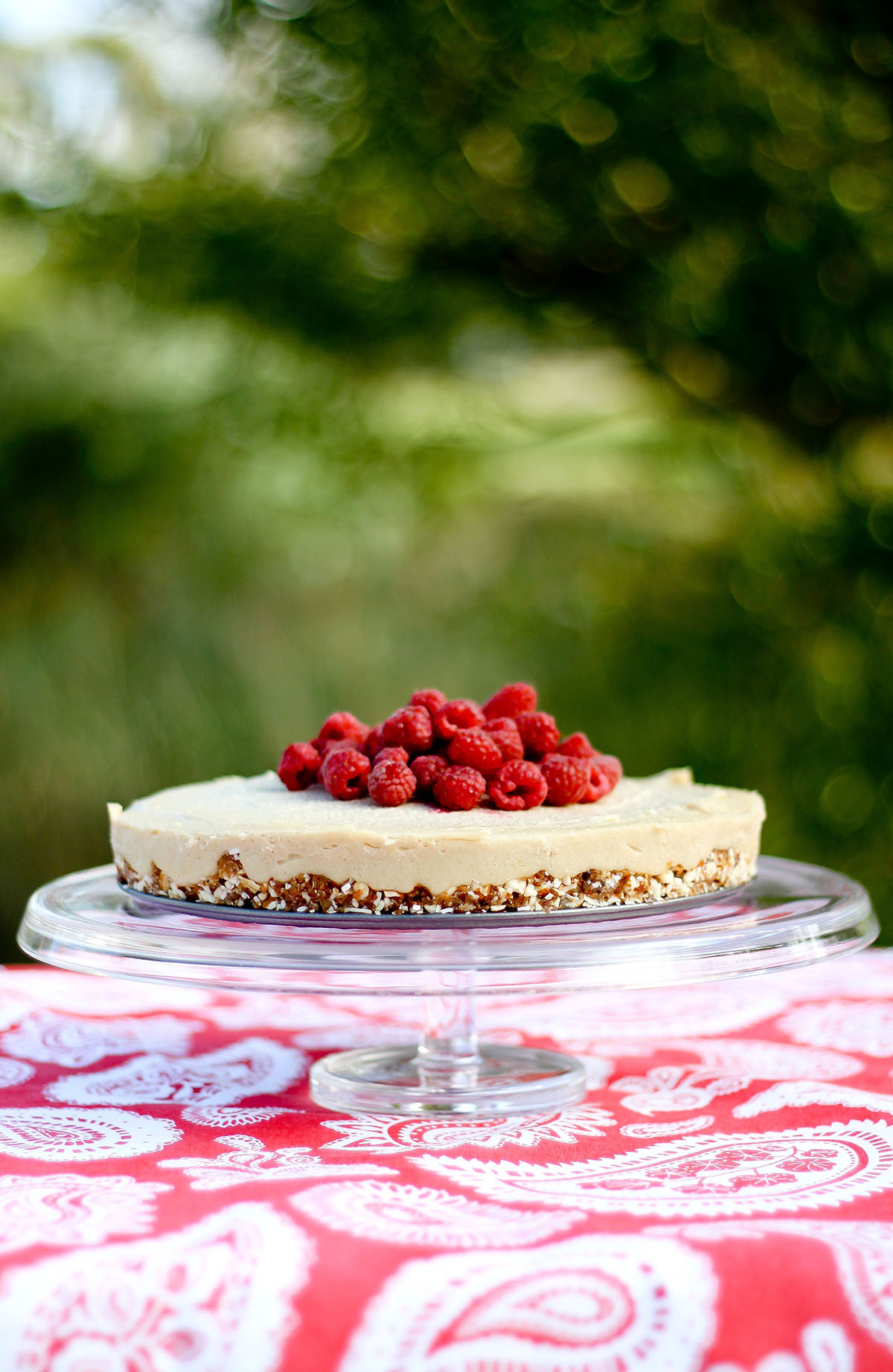 Lemon Raspberry Cheesecake Recipe by Rachael Campbell
