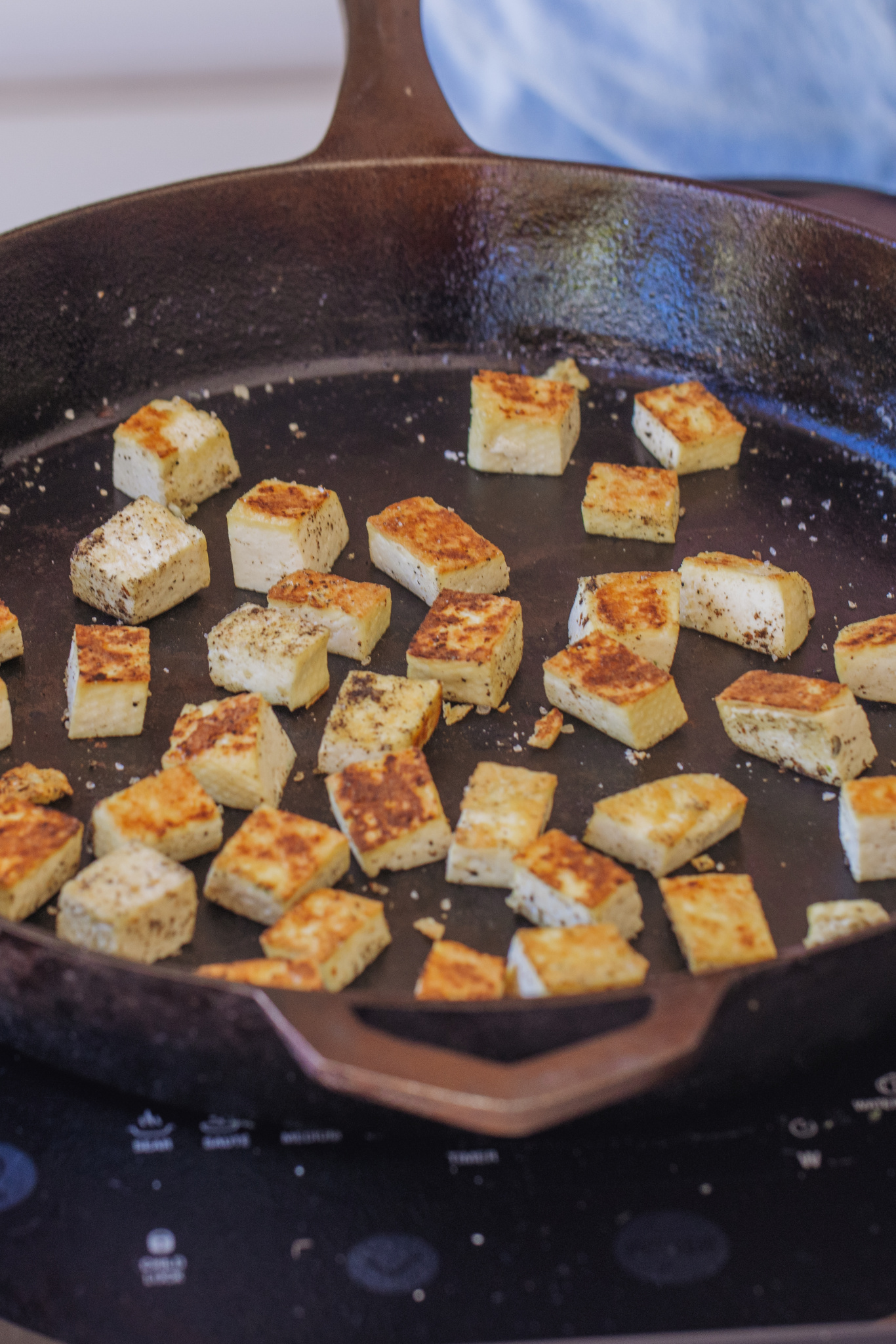 tofu in iron clad pan